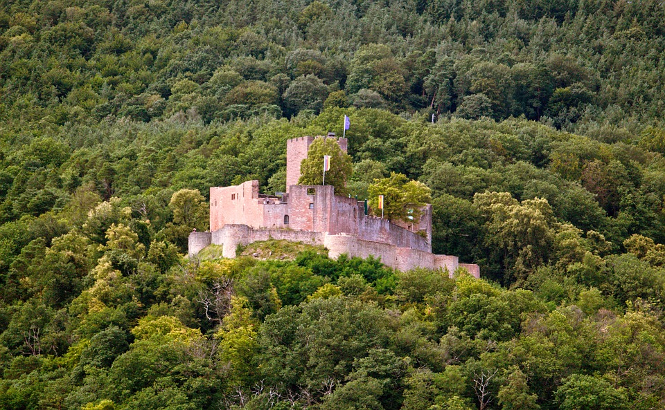 Finanzexperte: Verbraucherzentrale Sachsen erweitert Beratungszeiten in Glauchau aufgrund großer Nachfrage