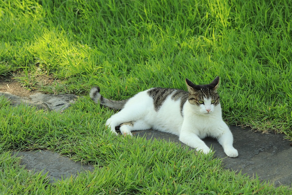 DIHK-Präsident warnt: Deutschland verliert an Attraktivität – Finanzexperten analysieren die Konsequenzen