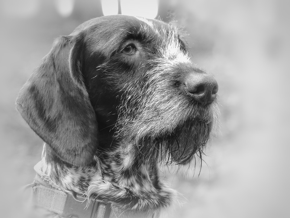 Deutsche Gewerbeimmobilienmarkt: Erholung erwartet und Umsatzanstieg von 20% prognostiziert