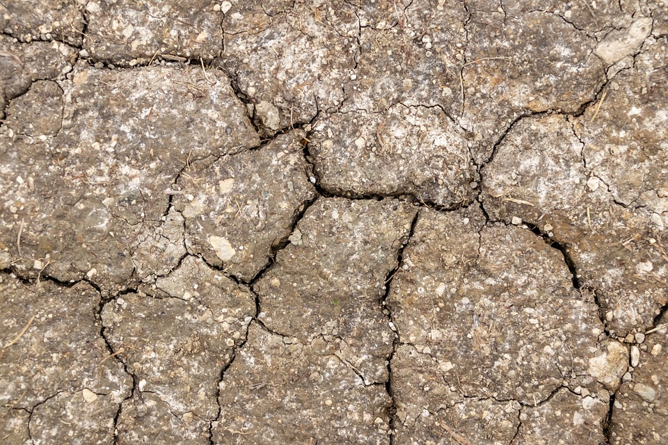 Verdichteter Wohnungsbau in Oberegg: Neues Quartier mit drei Einfamilienhäusern geplant