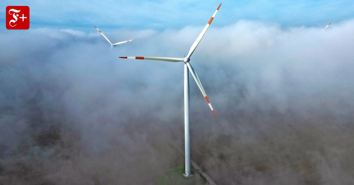 Was steckt hinter ELTIF? Ein Finanzexperte klärt auf