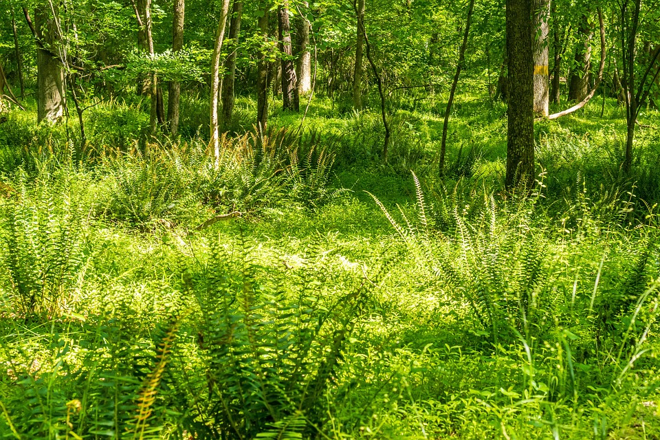 IG-Metall-Chefin fordert staatliche Investitionen in dreistelliger Milliardenhöhe für ökologischen Umbau der Industrie bis 2030.