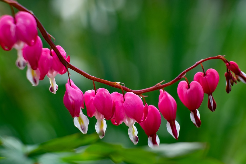 Kfz-Versicherung: Wer sind die Schaden-Kosten-Sieger 2022? Versicherungsbote stellt die rentabelsten Unternehmen vor