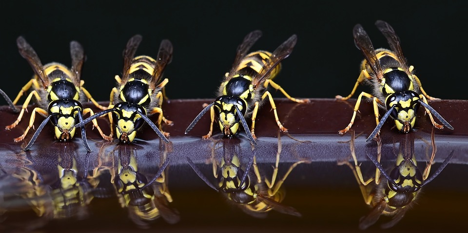 Deutsche entdecken Aktien als Altersvorsorge: Warum sie damit richtig liegen