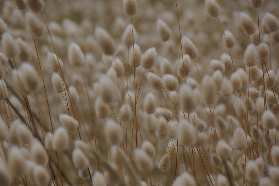 Immobilienexperte gibt Tipps bei Schimmel in der Wohnung – so schützen Sie Ihre Immobilie vor Feuchtigkeit und Schimmelbildung in Hamburg!