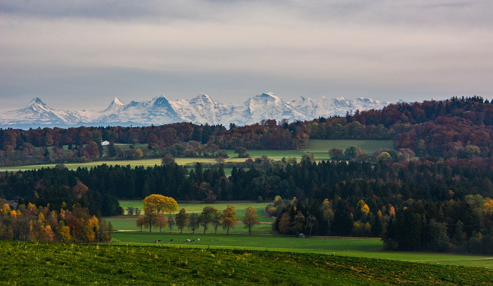 Dieselgate: Volkswagen-Chefs Winterkorn, Diess und Müller als Zeugen vor Gericht – Aktuelle Entwicklungen im Investorenprozess.