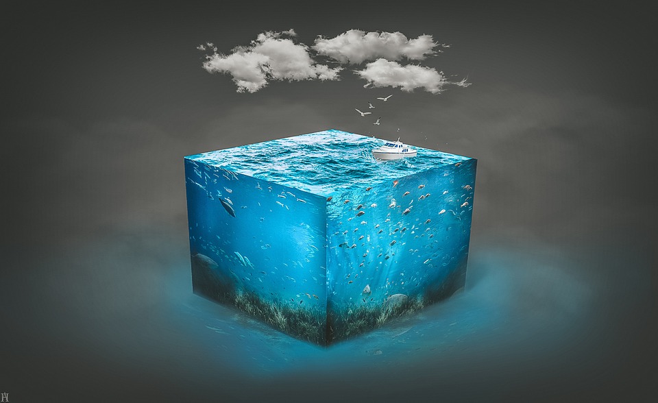 Finanzexperte warnt vor Auswirkungen der Subventionskürzungen auf die Landwirtschaft