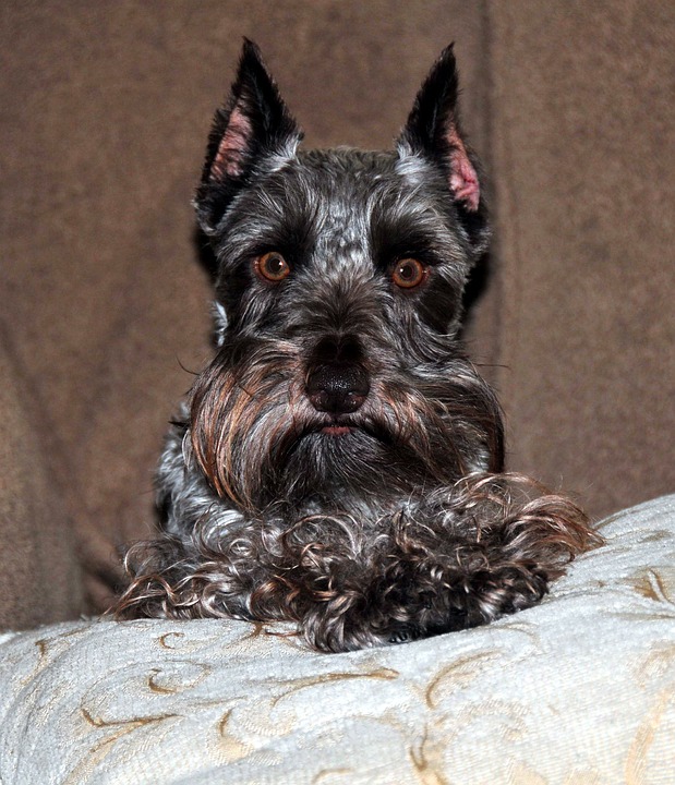 Die besten Versicherungen für Elektroautos: Empfehlungen von Experten und aktuelle Testergebnisse. Erfahren Sie, worauf es ankommt!