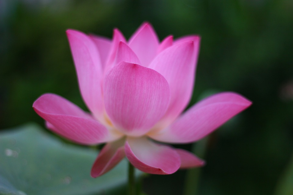 Caterpillar-Aktie verliert an Wert: Was bedeutet das für Anleger?