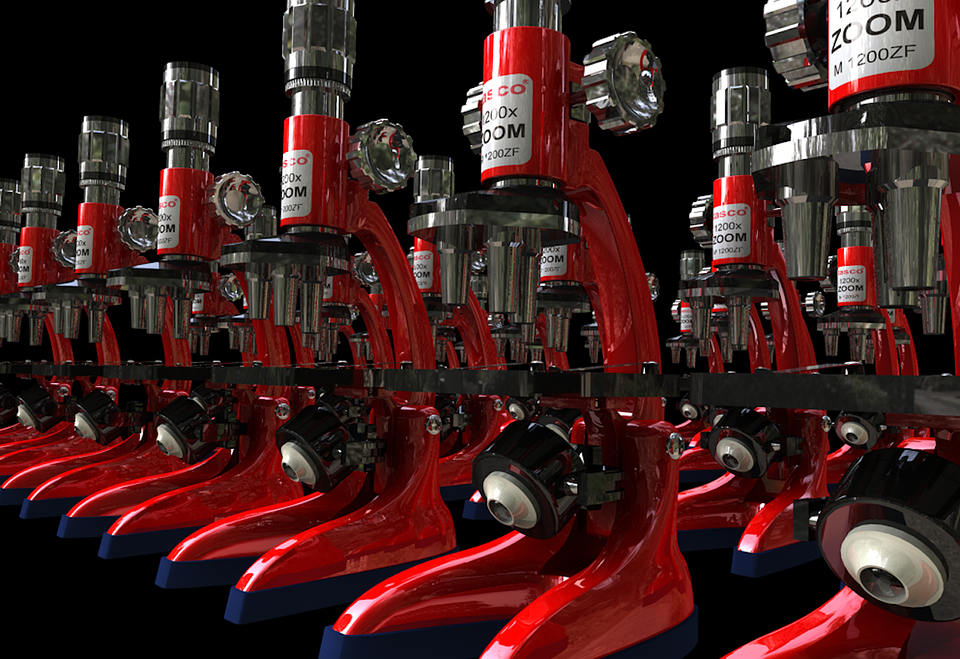 Analyse: Warum geringe Löhne in Mecklenburg-Vorpommern die Wirtschaftspolitik kritisieren