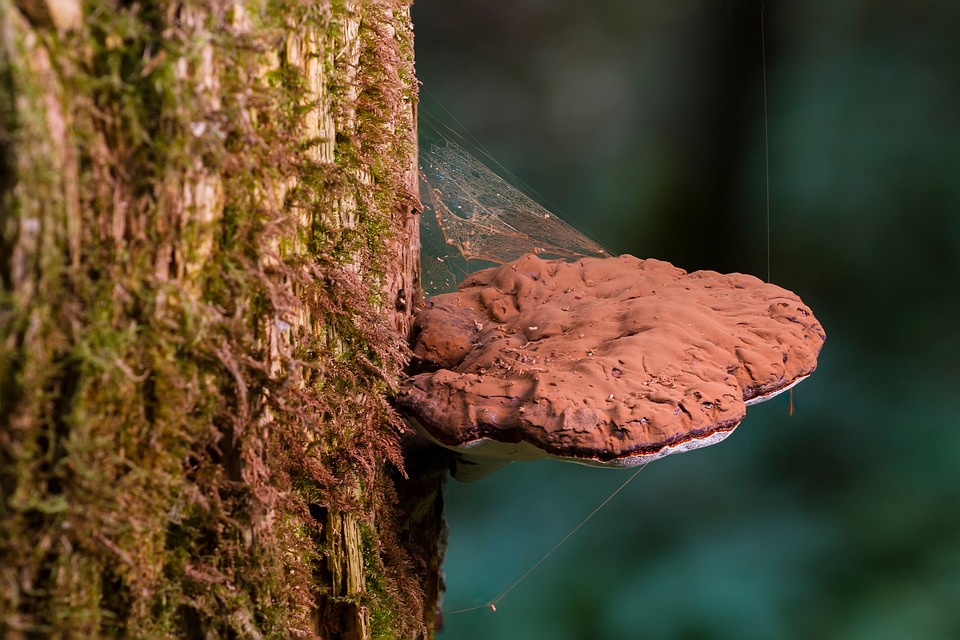 So holte Oma Hedwig aus Plauen 10.000 Euro von ihrer Unfallversicherung