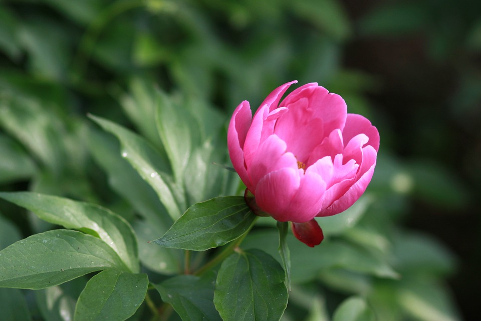 Finanzexperte warnt: Nel Asa erhält harte Bewertung und sinkt auf Rekordtief – Experten sehen wenig Hoffnung auf Aufwärtstrend.