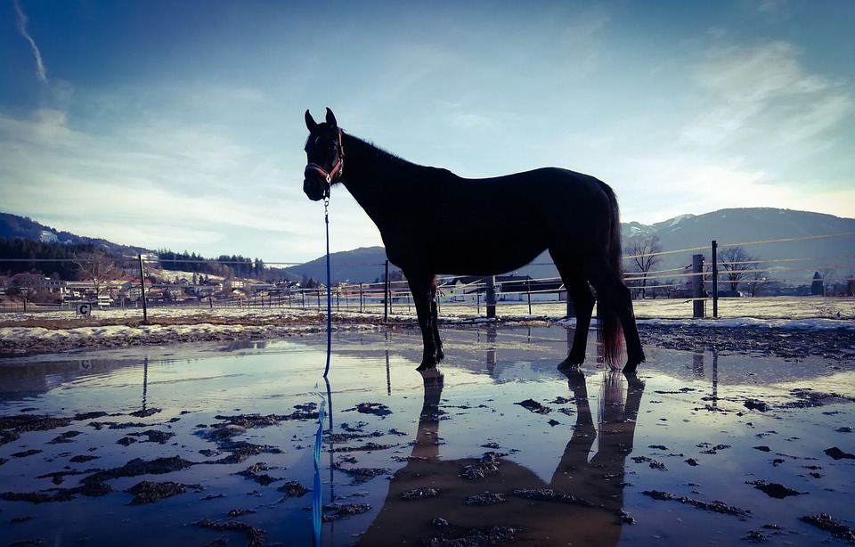 Kostenloses Tool: Kündigungsschreiben für Versicherungen schnell und einfach erstellen lassen