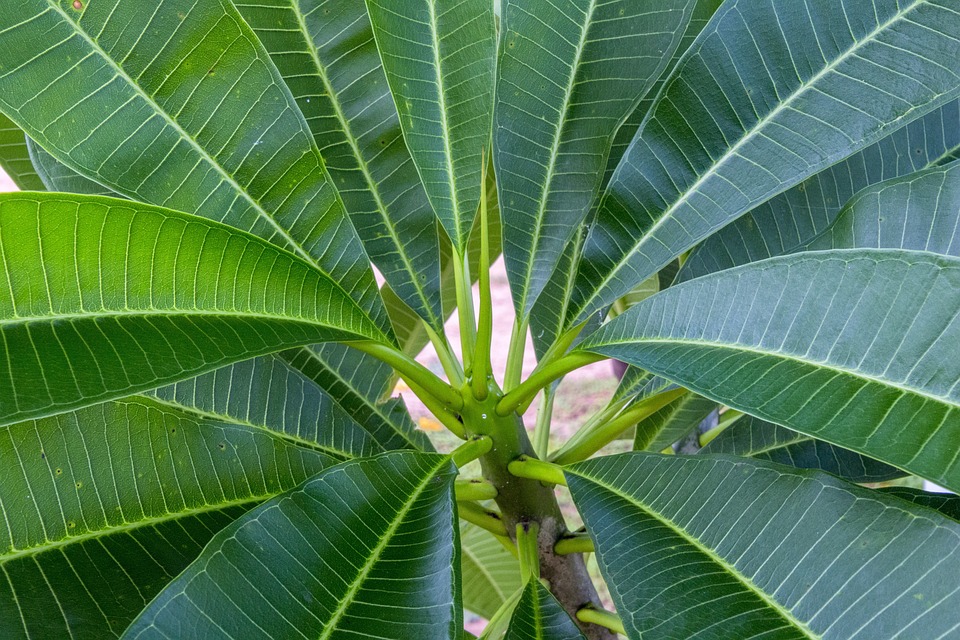 ANTA Sports Products: Aktuell -5,02% – wie geht es weiter?