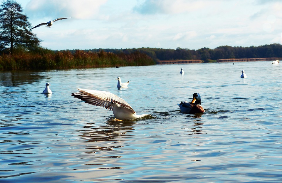 Elementarschadenversicherung schützt vor Überschwemmungen – Finanzexpertentipps