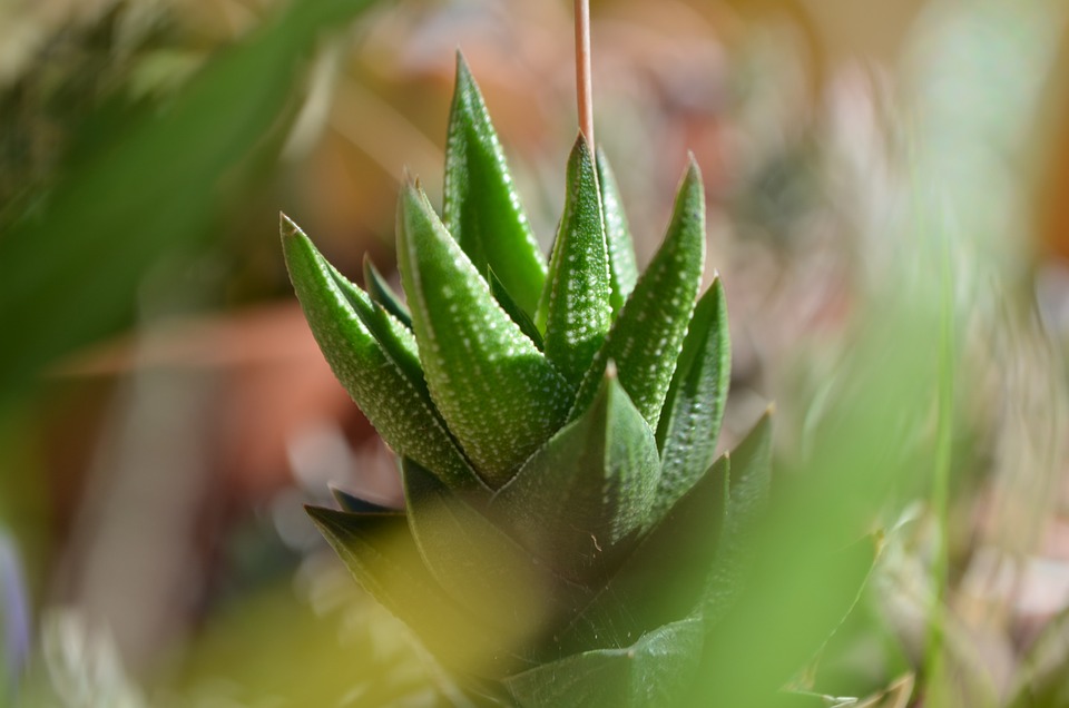Zinssenkungen und Aktienmarkt: Tipps für Anleger von Finanzexperten