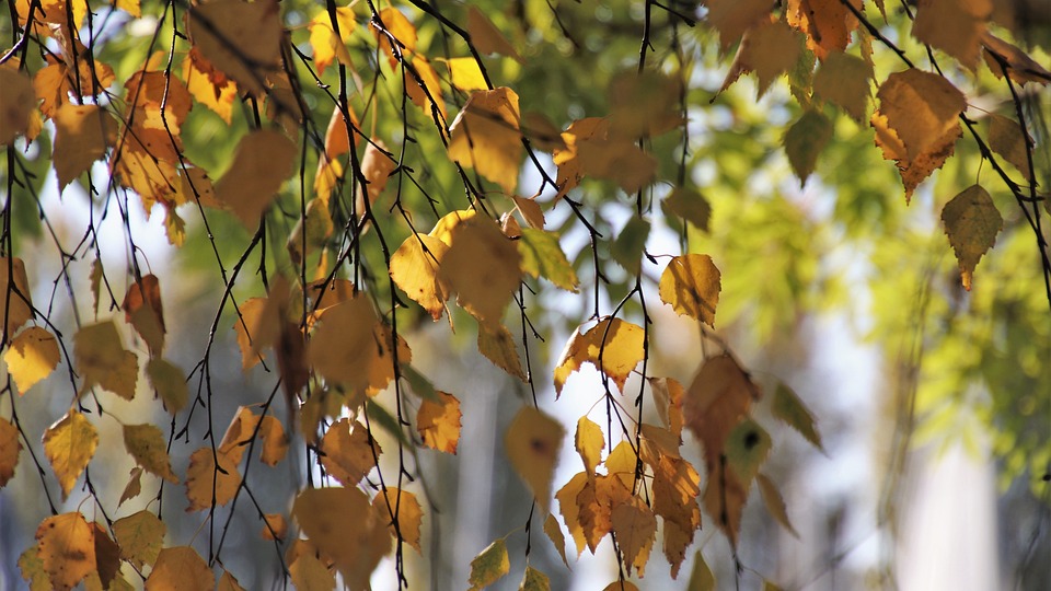 Finanzexperte berichtet: Wohnen im denkmalgeschützten Haus – ein lohnendes Investment?