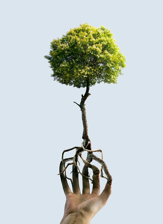 Finanzexperte verrät: Wie viele Häuser im neuen Geisecker Neubaugebiet bereits verkauft wurden