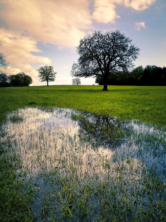 Chefökonom warnt vor Stagnation: Verteilungskämpfe in der Wirtschaft