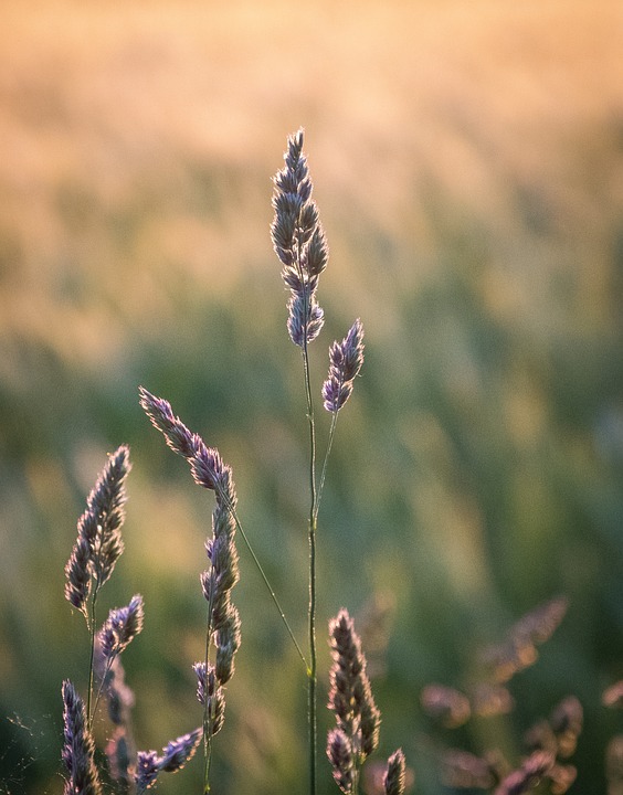 Finanzexperte erklärt: Wieso Gastwirte ihre Preise drastisch erhöhen müssen