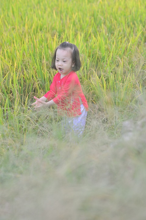 Fachkräftemangel in Mecklenburg-Vorpommern: Landesregierung erntet Kritik für Strategie