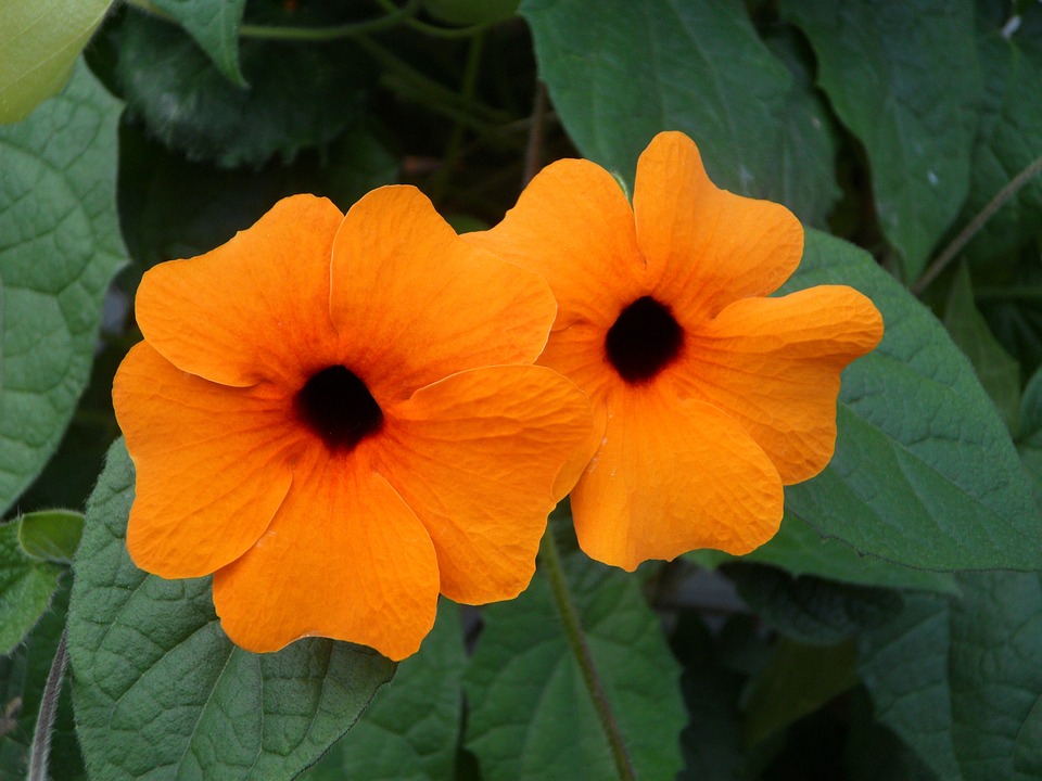 Renk Börsengang: Wie Susanne Wiegand das Ziel erreicht und die Finanzwelt überrascht