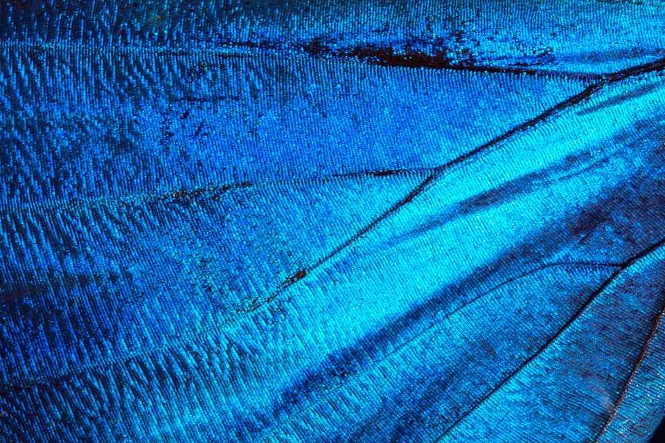 Amazon Prime Video: Drohende rechtliche Schritte wegen geplanter Werbeschaltung