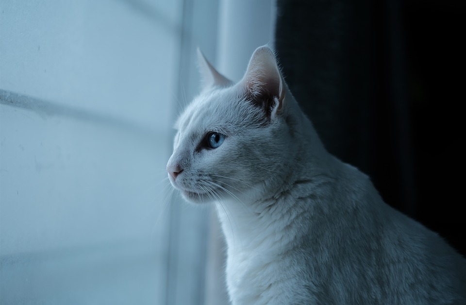 Kostenloses Beratungsangebot bei Energie- und Rechtsfragen in Erkrath  – Finanzexperte gibt Einblicke und Tipps für Verbraucher.