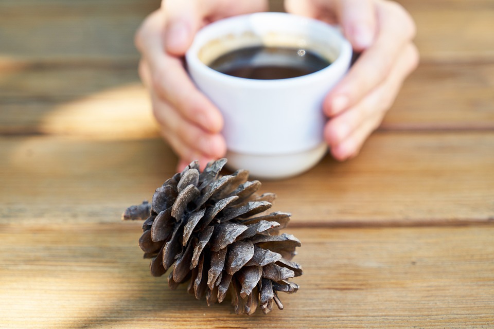 Experten warnen: Big Tech dominiert den Aktienmarkt – droht eine neue Dotcom-Blase?