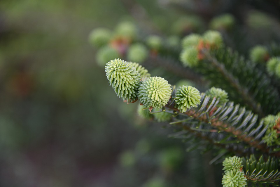 Tipps für die Registrierung: So vermeiden Sie Fehler bei der Eingabe Ihrer persönlichen Daten