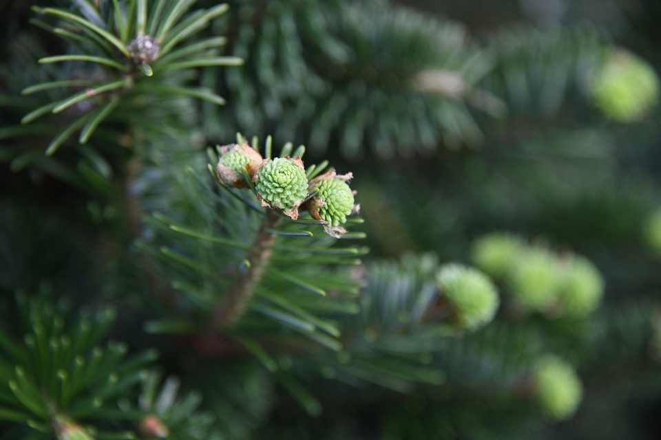 Identitätsdiebstahl: Tipps vom Finanzexperten für Betroffene
