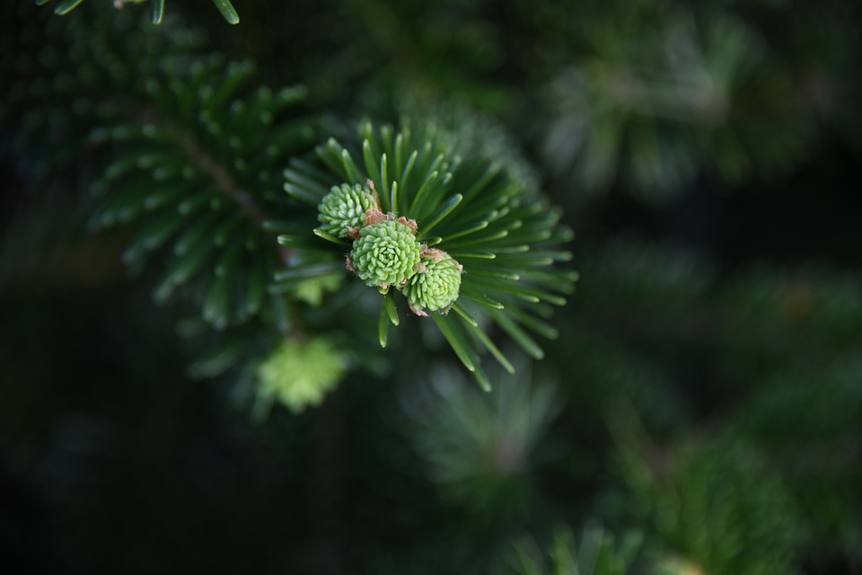 Tipps zum Sparen: Finanzexperte Julia Rehberg im Interview mit SAT.1 REGIONAL