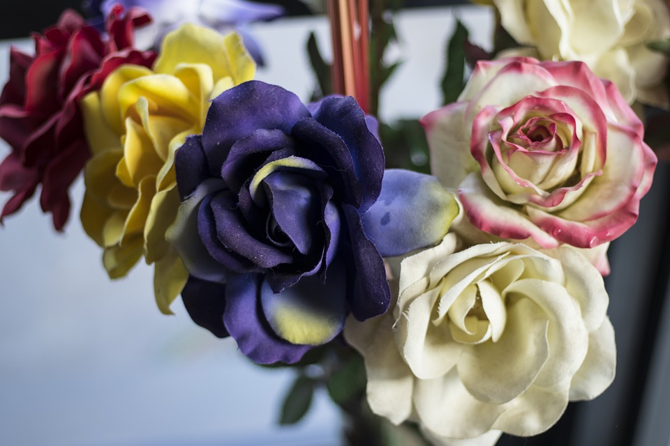 Finanzexperte warnt: Ersatz von Sonnenblumenöl durch Palmöl in Lebensmitteln kann gesundheitliche Nachteile für Verbraucher haben