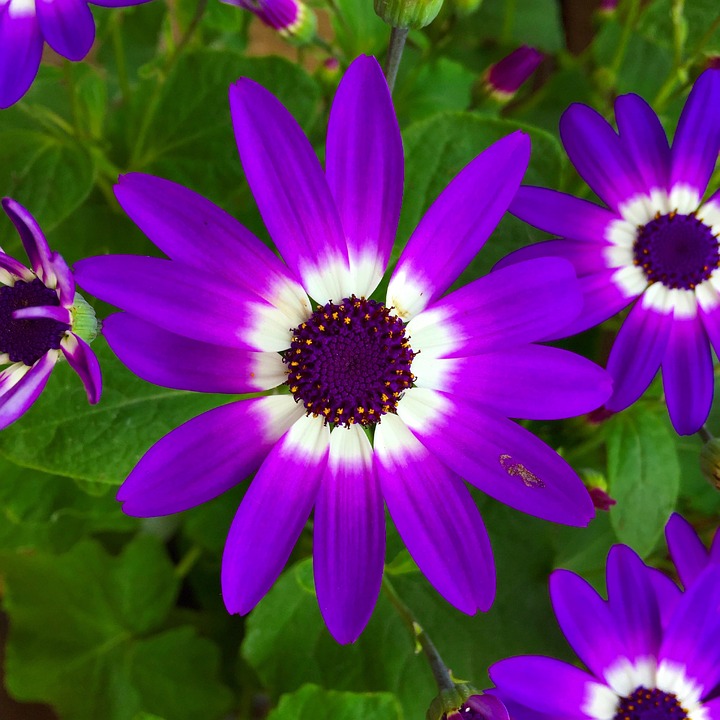 Fehlerhafte Geldscheine: So erkennen Sie wertvolle Fehldrucke