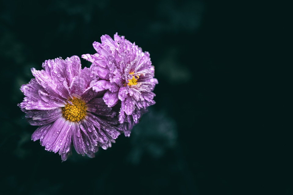 China Evergrande: Was bedeutet die Auflösung des Immobilienkonzerns für die Finanzmärkte? – Ein Finanzexperte analysiert die Folgen