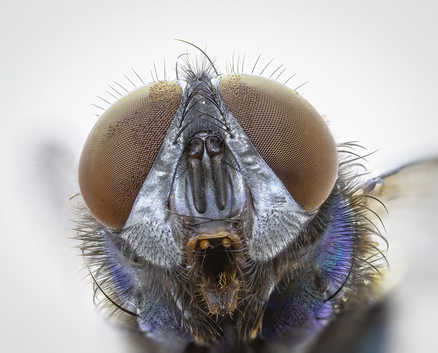 Groß & Partner treibt trotz Krisen mehrere Bauprojekte in Frankfurt voran  – Finanzexperte analysiert Immobilienunternehmen.