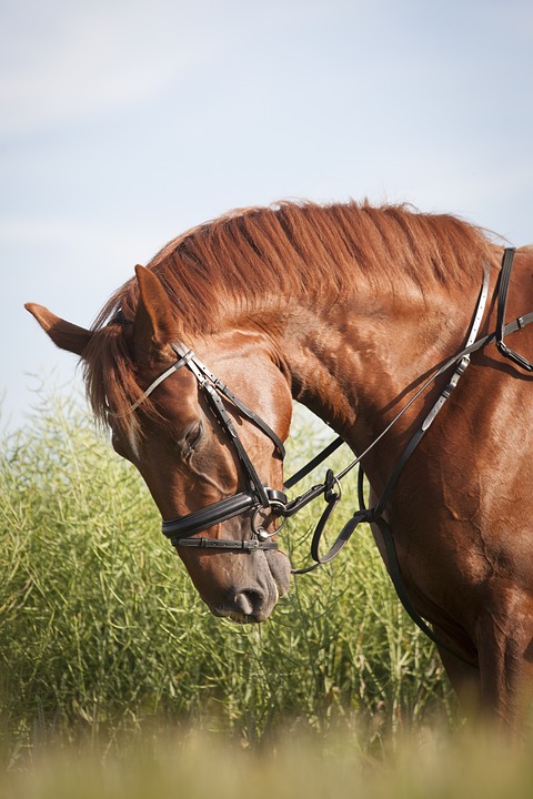 Lebensmittelpreise steigen – Wie du Geld beim Einkauf sparst