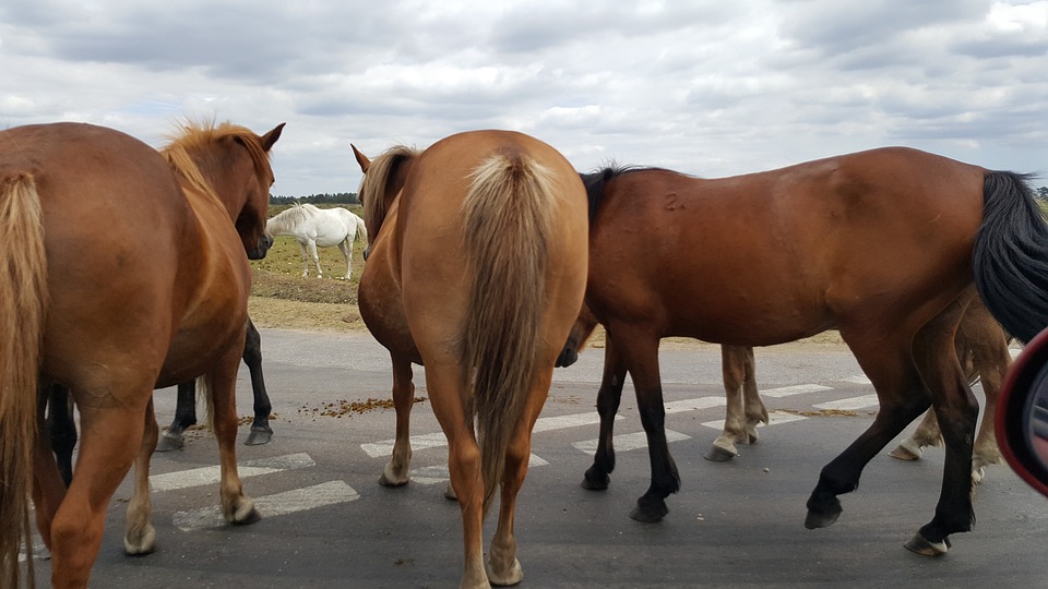 Die Schuldenbremse und neue Maßnahmen: Finanzexperte analysiert die Herausforderungen und Chancen für die deutsche Wirtschaft.