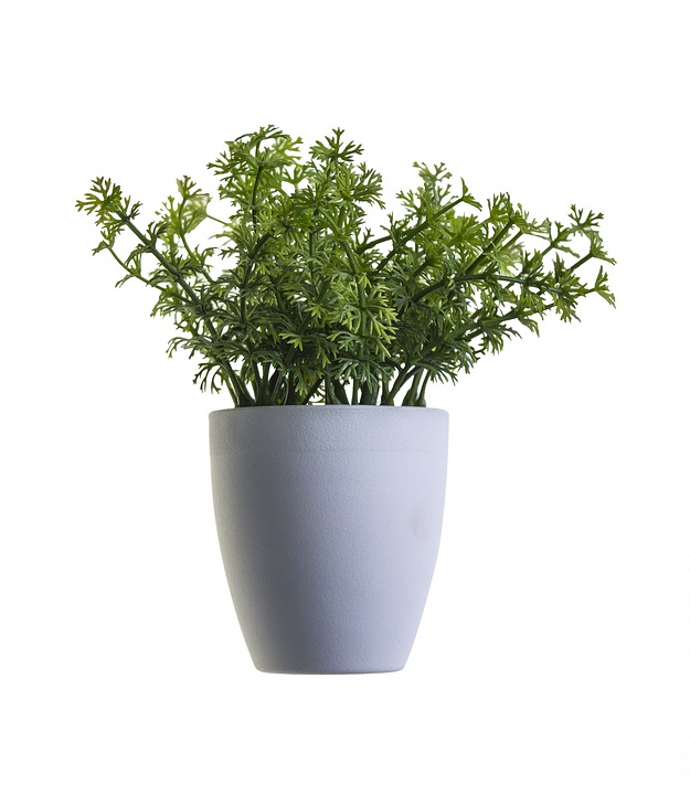 Steuerrückzahlungsbetrug: Finanz-Experte warnt vor gefälschten ELSTER-E-Mails & gibt Tipps.