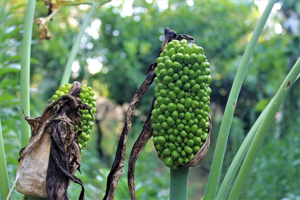 Bitkom warnt vor wachsender Cyberkriminalität: Schäden von 206 Milliarden Euro – die deutsche Justiz stößt an ihre Grenzen