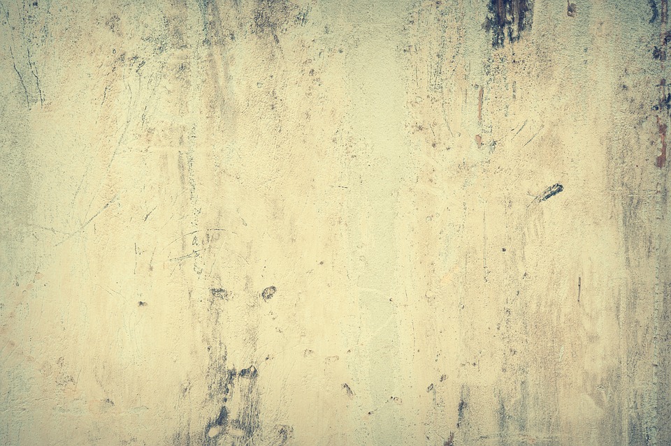 Wall Street auf Rekordhoch – Starke Quartalszahlen treiben Aktienindizes an, doch Arbeitsmarktdaten sorgen für Zinseuphorie.