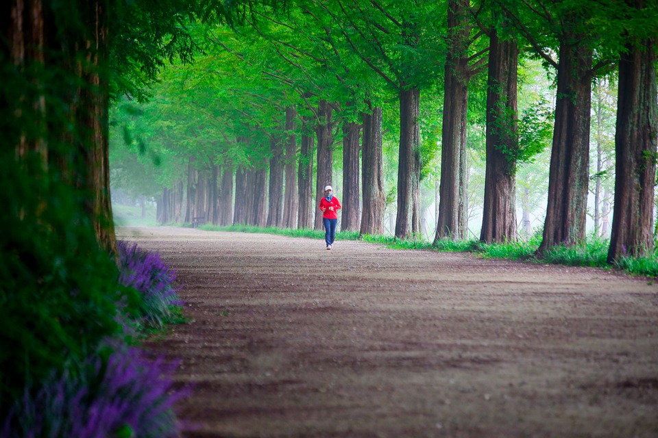 Finanzexperte enthüllt:  Meta muss bei Abo-Modell für Instagram und Facebook nachbessern  – Verbraucherzentrale NRW erwirkt einstweilige Verfügung vor dem OLG Düsseldorf.