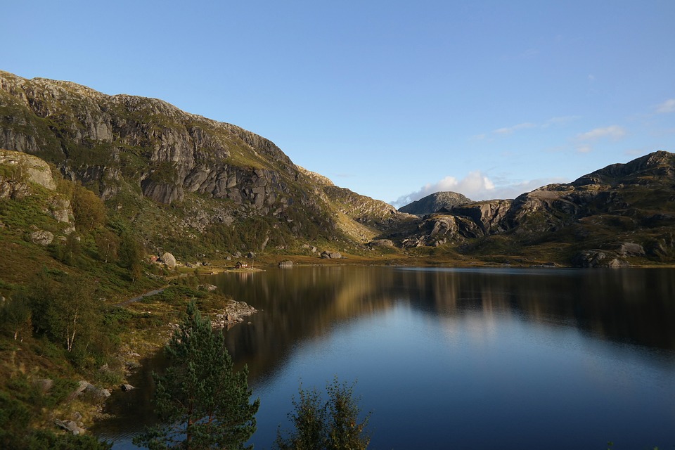 Alles über ETF, ETN, ETP und ETC: Unterschiede und Gemeinsamkeiten