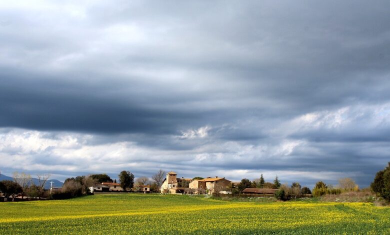 Experten warnen vor Folgen für Familien