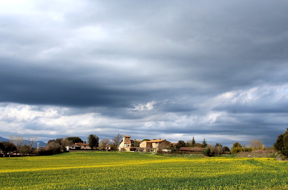 Auswirkungen der geplanten Abschaffung der Steuerklassen 3/5