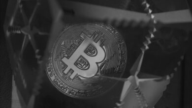 Bitcoin Dominanz erreicht 3-Jahres-Hoch
