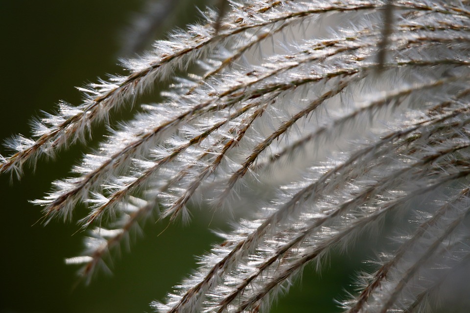 Bodenabsenkung in China: Riesige Städte versinken