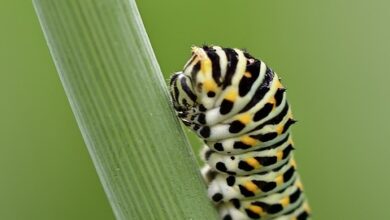 Caterpillar-Aktie tiefrot: Caterpillar leidet unter schwächerer Bau- und Bergbaunachfrage 25.04.2024