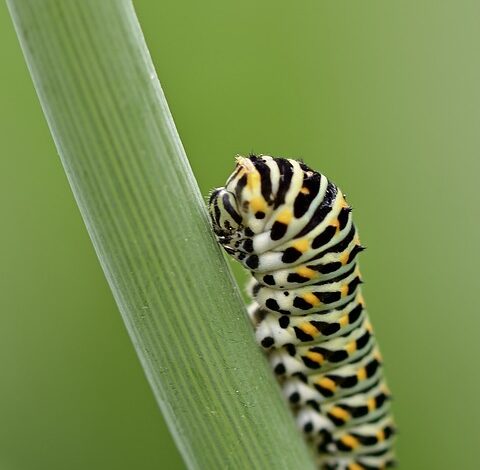 Caterpillar-Aktie tiefrot: Caterpillar leidet unter schwächerer Bau- und Bergbaunachfrage 25.04.2024