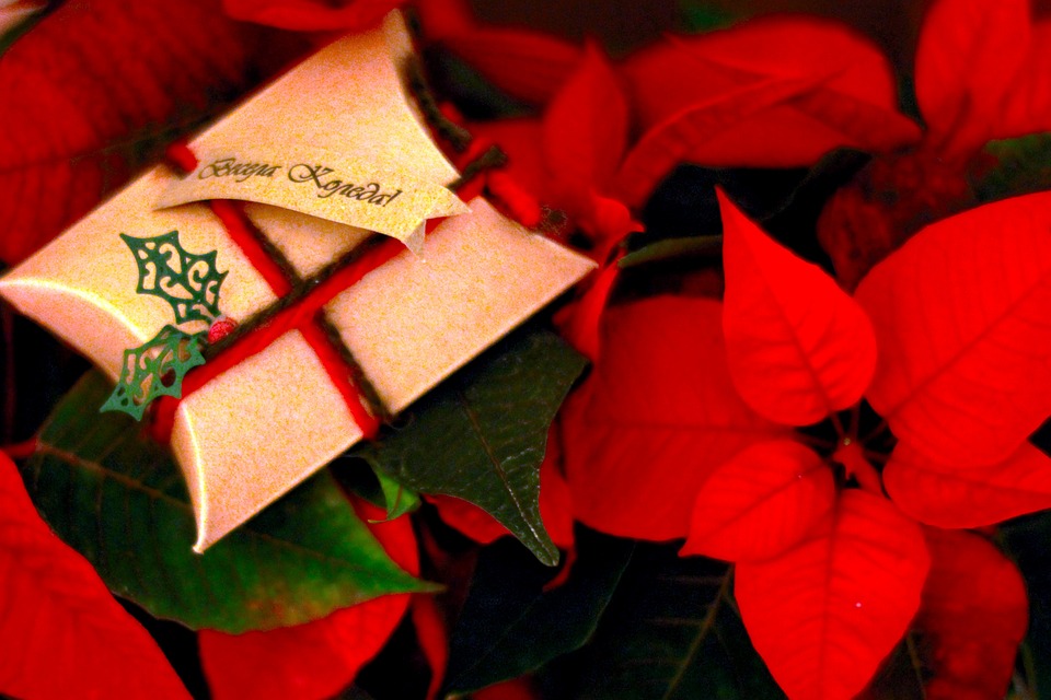 Commerzbank-Kunden aufgepasst: Neue Phishing-Masche im Umlauf